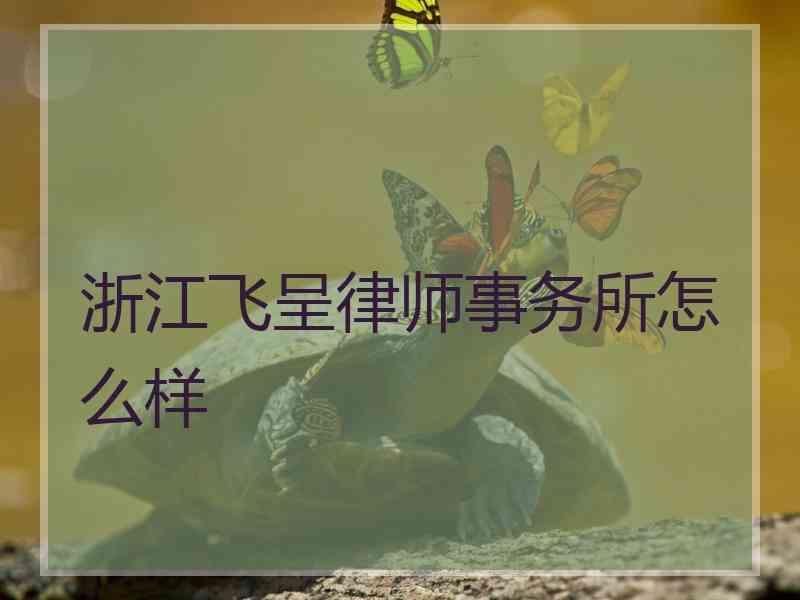 浙江飞呈律师事务所怎么样