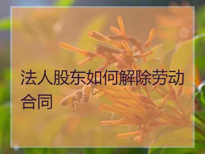 法人股东如何解除劳动合同