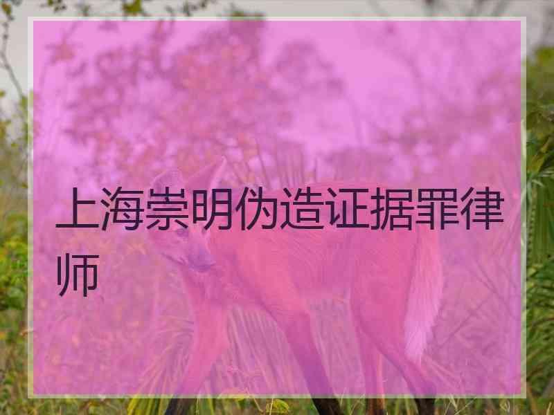 上海崇明伪造证据罪律师