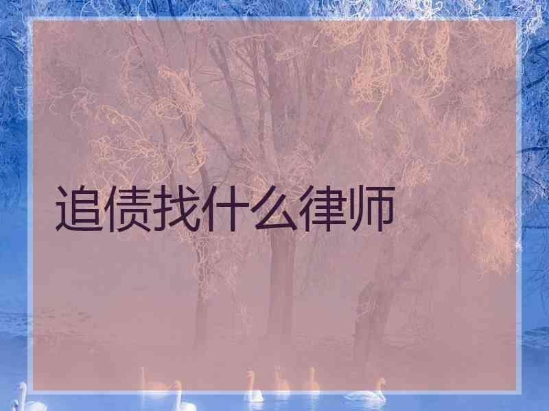 追债找什么律师