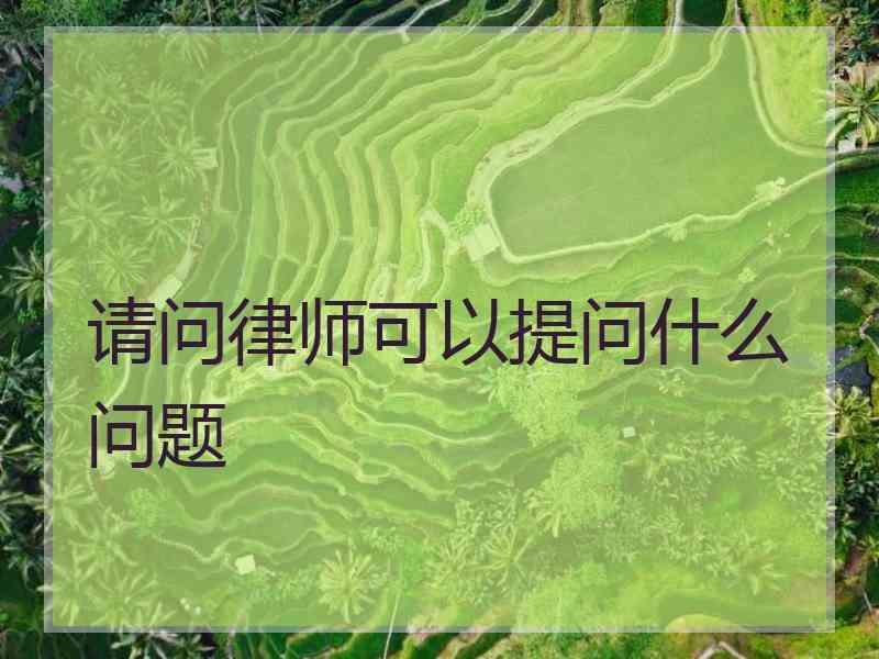 请问律师可以提问什么问题