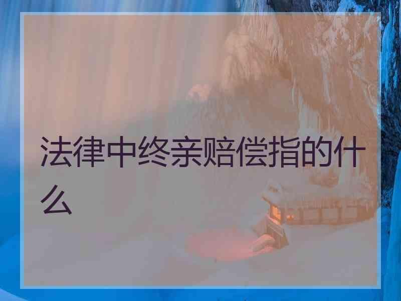 法律中终亲赔偿指的什么