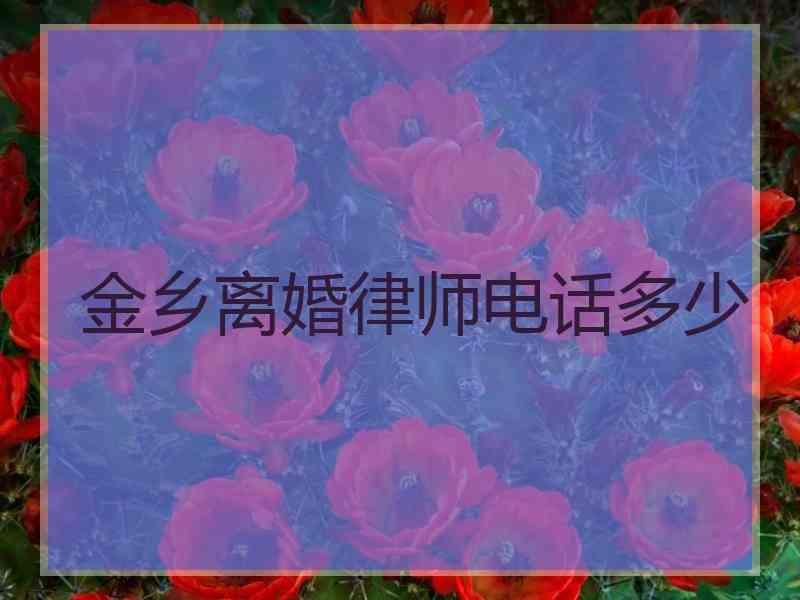 金乡离婚律师电话多少