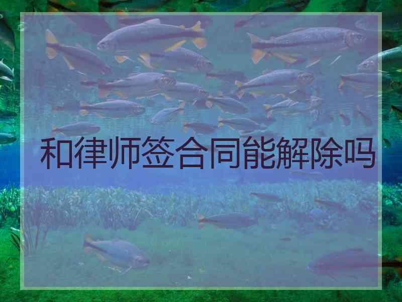 和律师签合同能解除吗