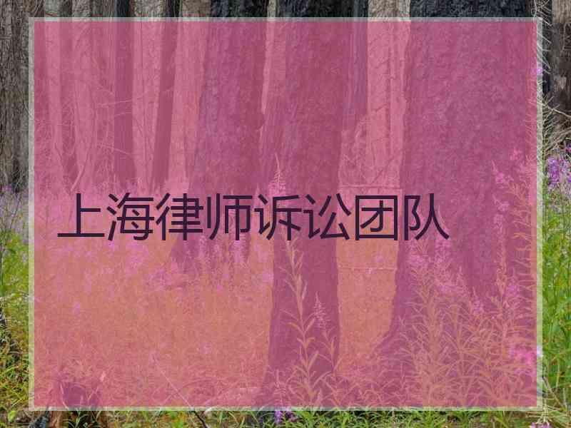 上海律师诉讼团队