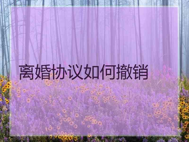 离婚协议如何撤销