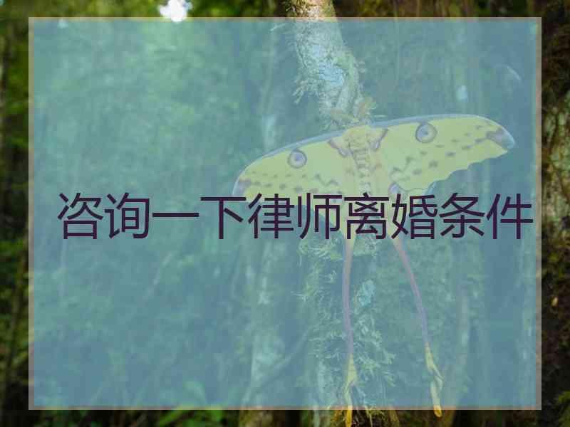 咨询一下律师离婚条件