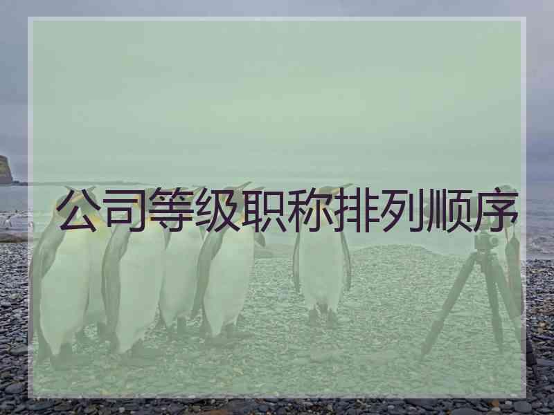 公司等级职称排列顺序