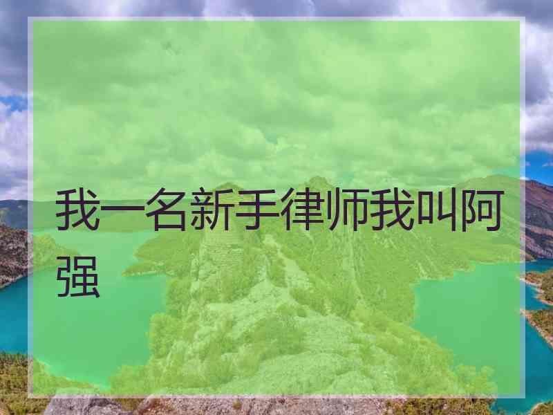 我一名新手律师我叫阿强