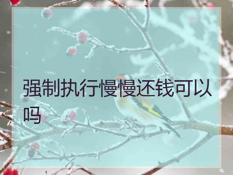 强制执行慢慢还钱可以吗