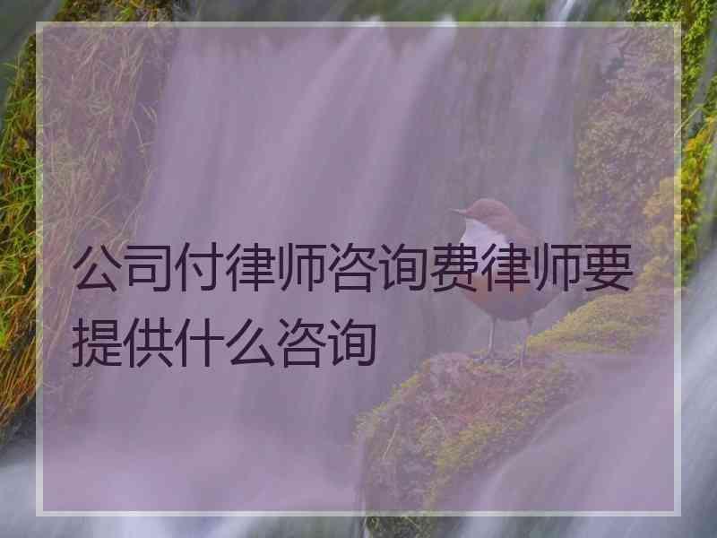 公司付律师咨询费律师要提供什么咨询