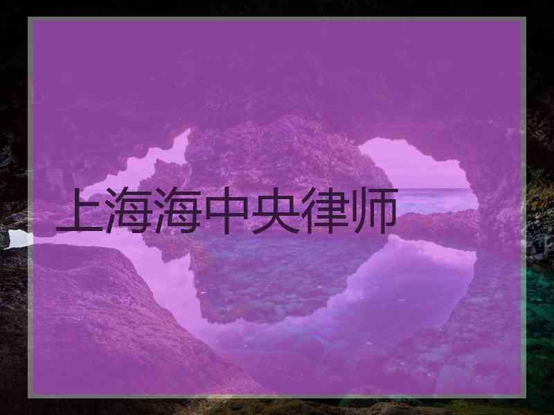 上海海中央律师