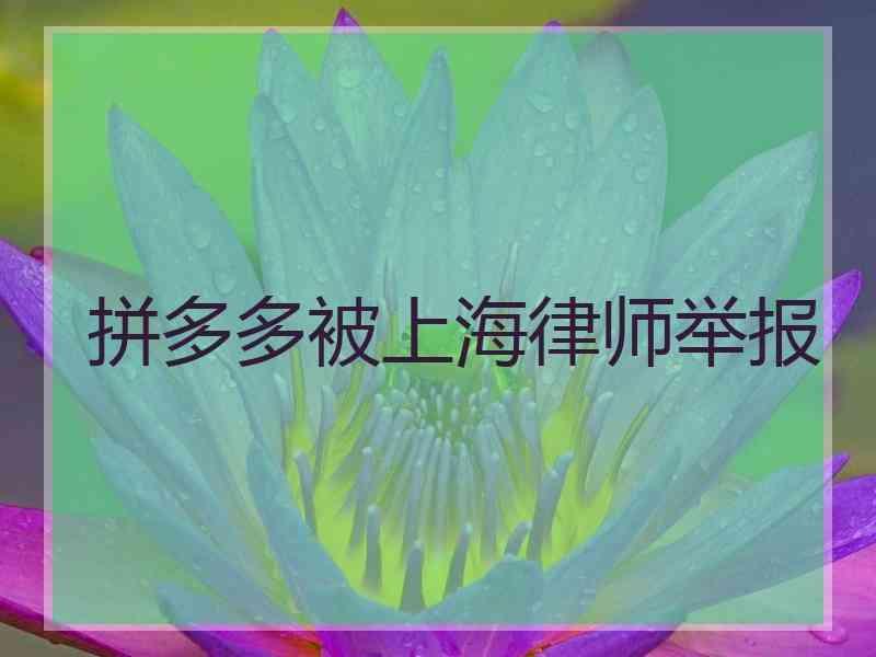 拼多多被上海律师举报