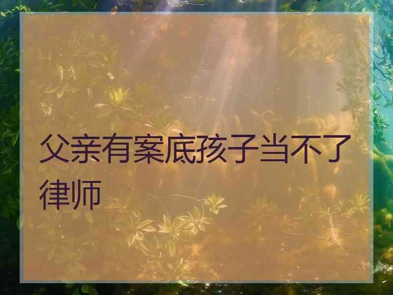 父亲有案底孩子当不了律师