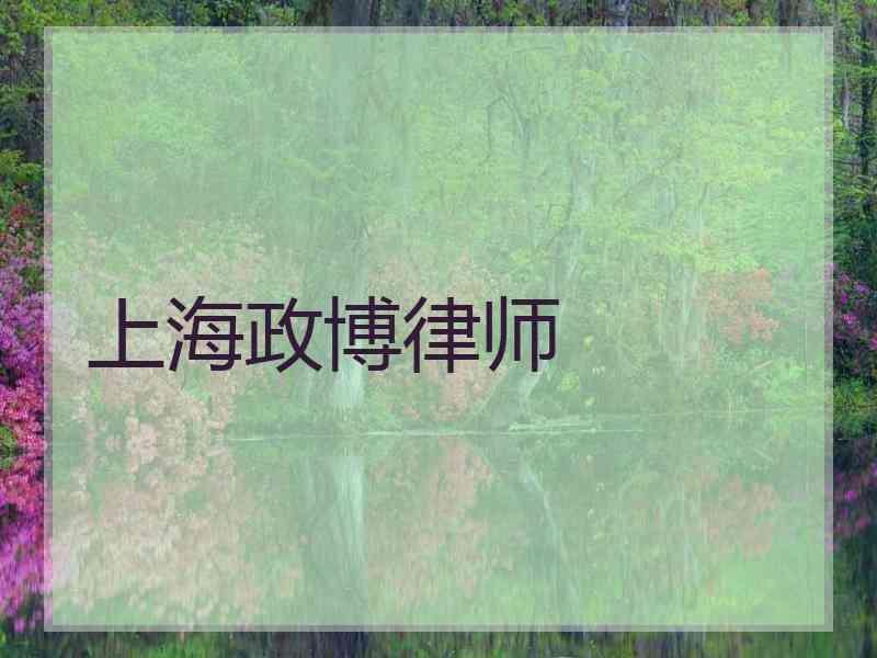 上海政博律师