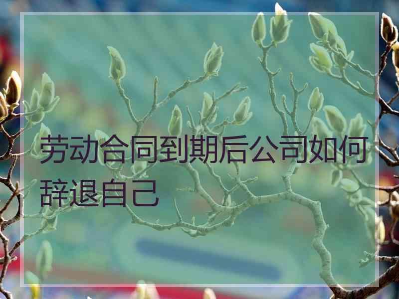 劳动合同到期后公司如何辞退自己