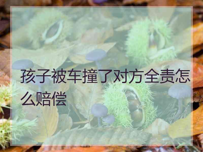 孩子被车撞了对方全责怎么赔偿