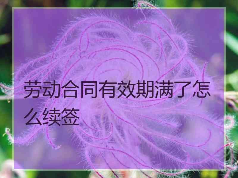 劳动合同有效期满了怎么续签