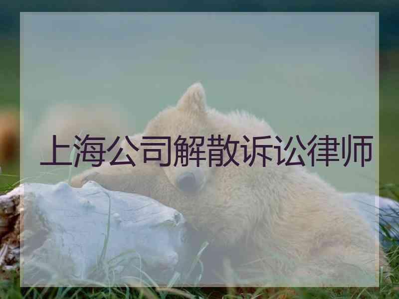 上海公司解散诉讼律师