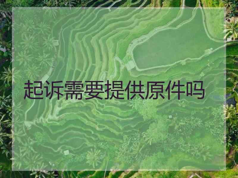 起诉需要提供原件吗