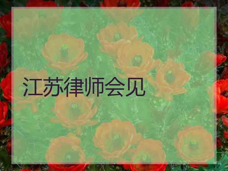 江苏律师会见