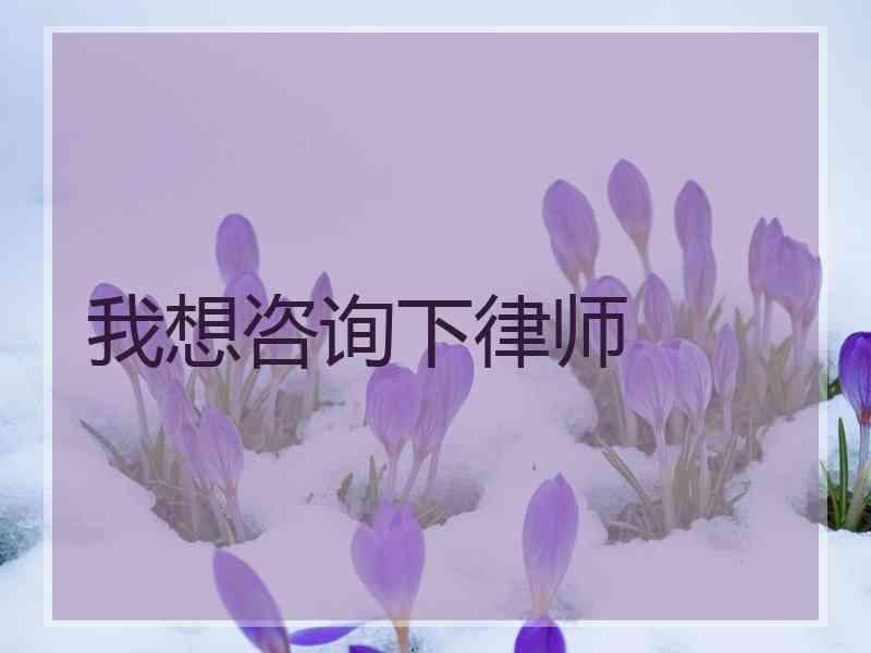 我想咨询下律师