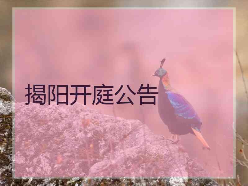 揭阳开庭公告