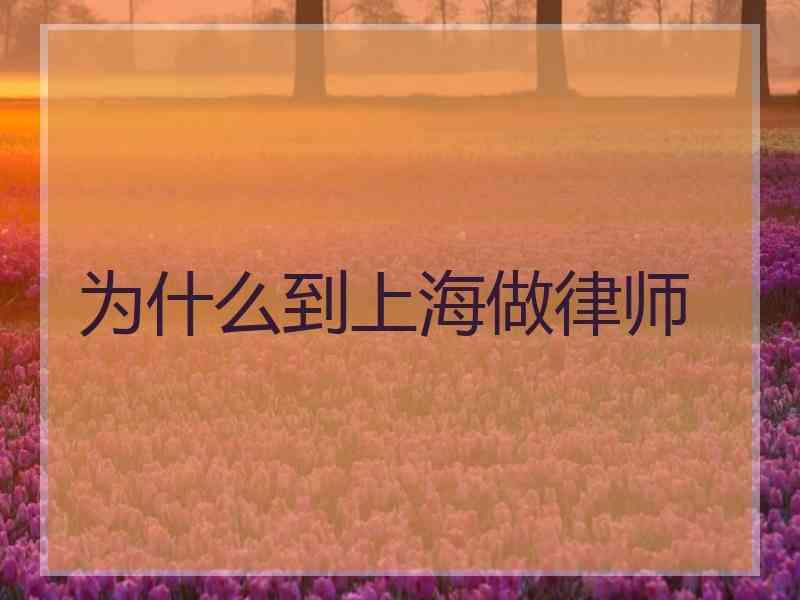 为什么到上海做律师