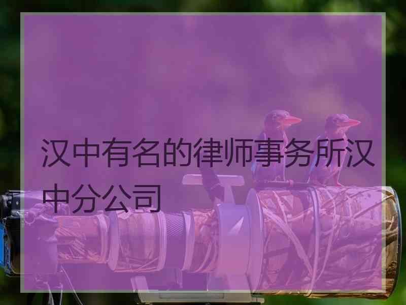 汉中有名的律师事务所汉中分公司