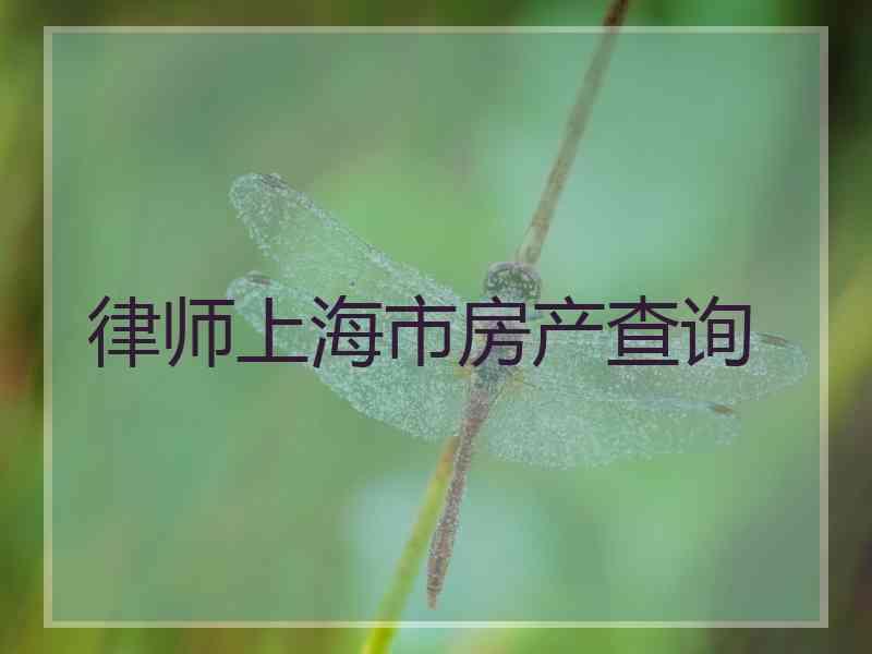 律师上海市房产查询