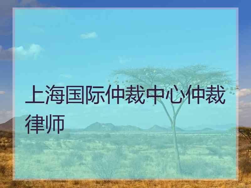 上海国际仲裁中心仲裁律师