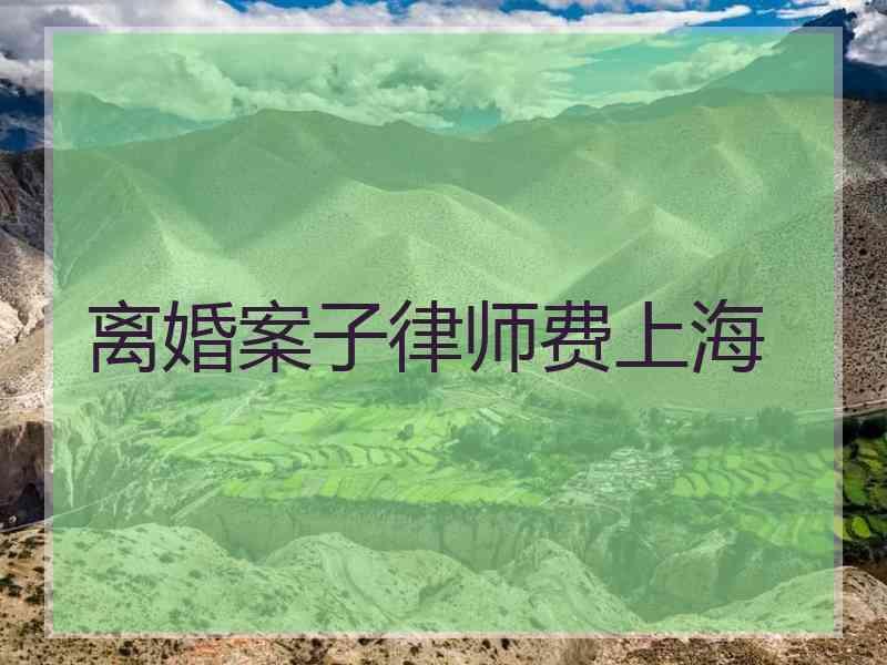 离婚案子律师费上海