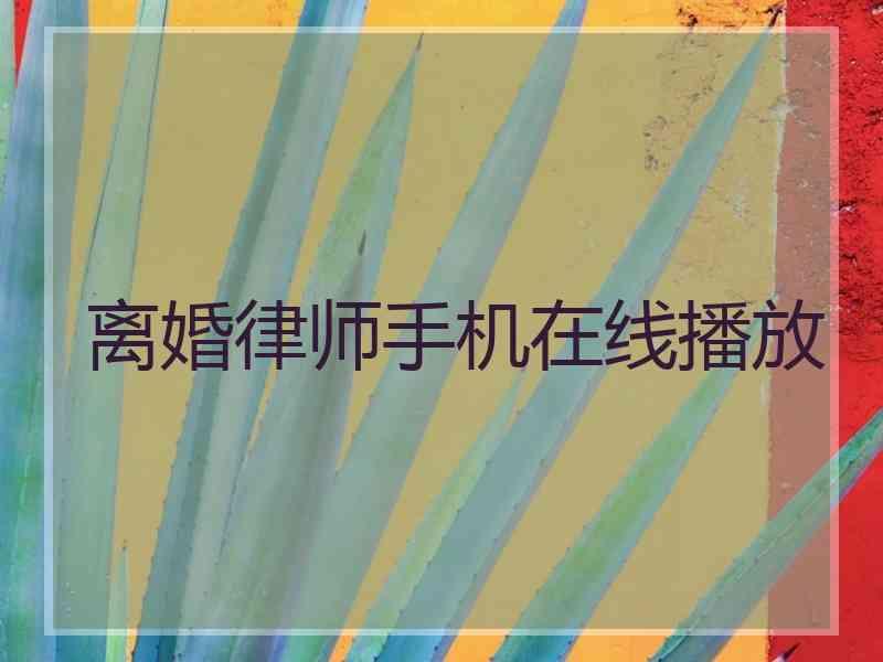 离婚律师手机在线播放