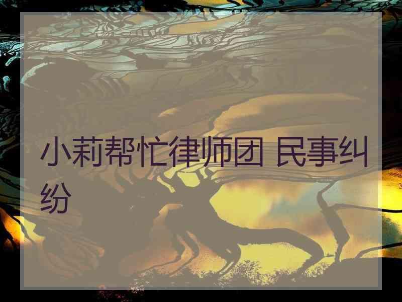 小莉帮忙律师团 民事纠纷