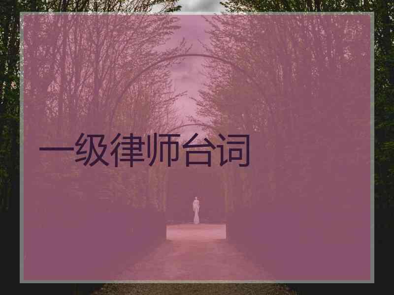 一级律师台词