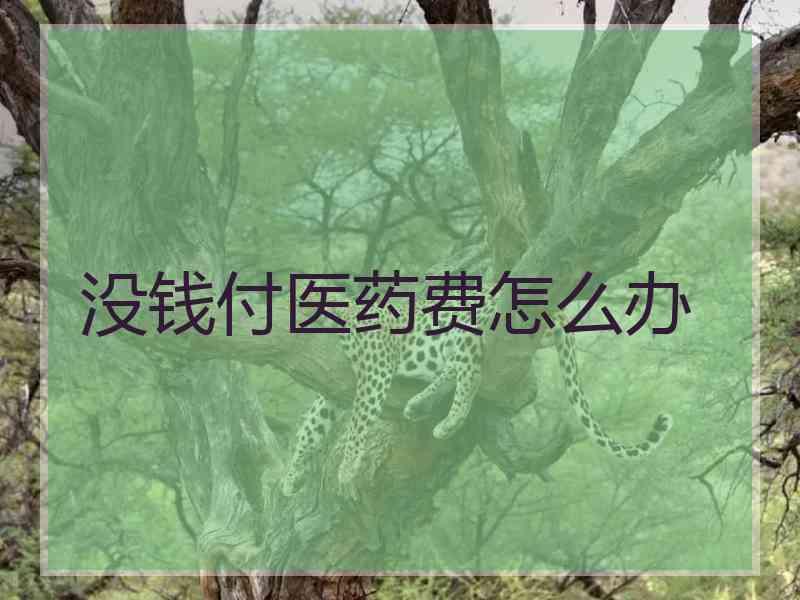 没钱付医药费怎么办