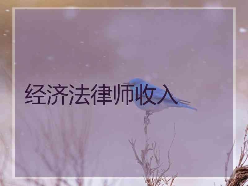 经济法律师收入