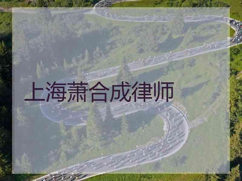 上海萧合成律师