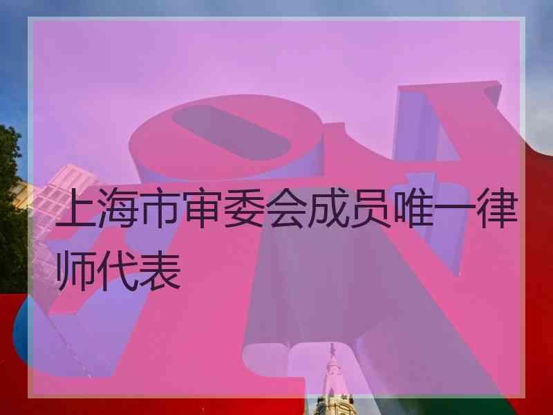 上海市审委会成员唯一律师代表