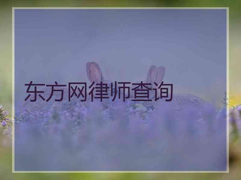 东方网律师查询