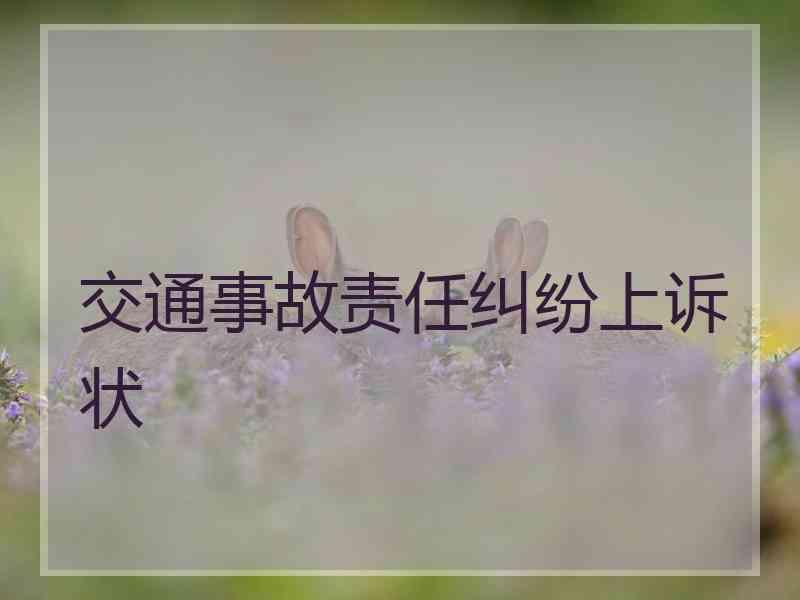 交通事故责任纠纷上诉状