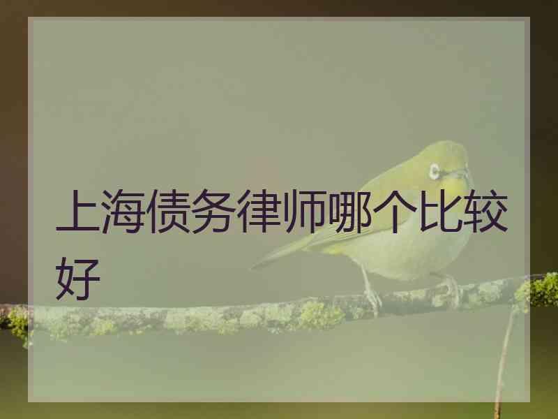 上海债务律师哪个比较好