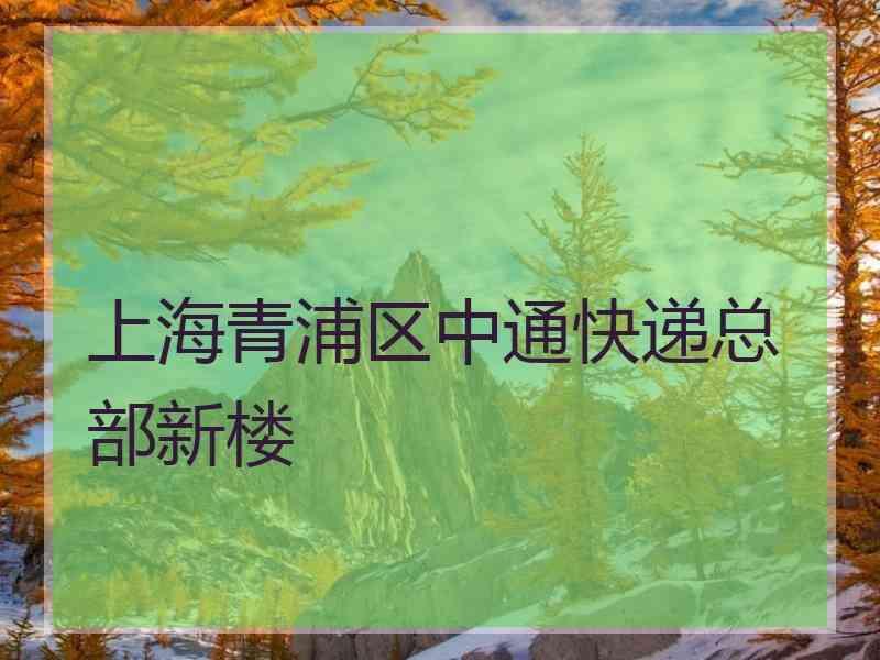 上海青浦区中通快递总部新楼