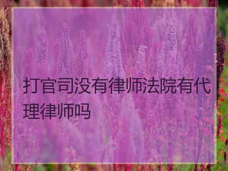 打官司没有律师法院有代理律师吗