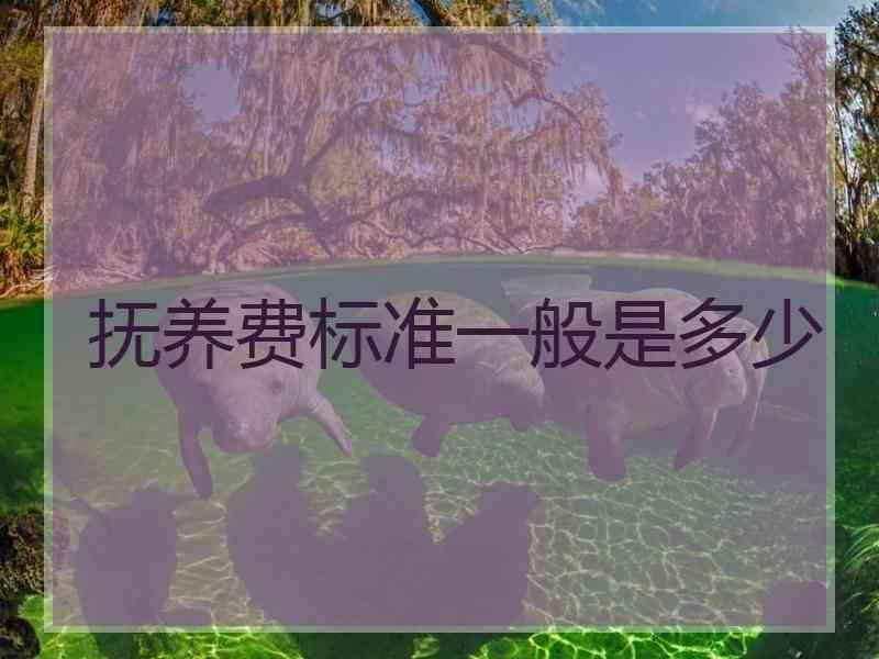 抚养费标准一般是多少
