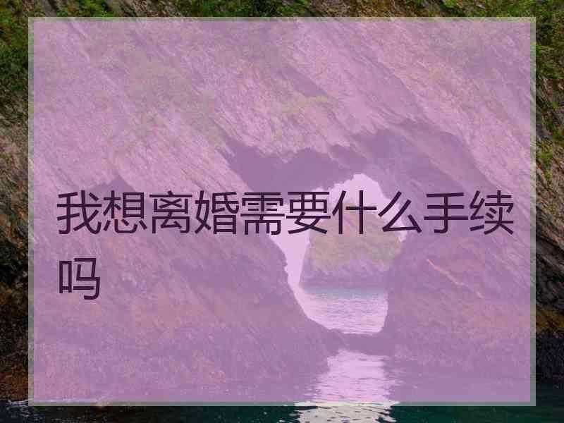 我想离婚需要什么手续吗