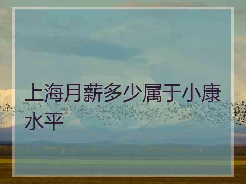 上海月薪多少属于小康水平