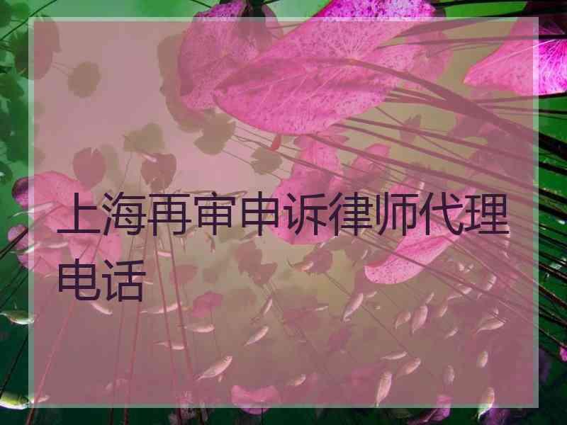 上海再审申诉律师代理电话