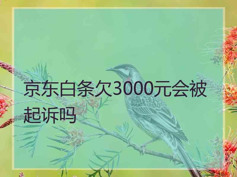 京东白条欠3000元会被起诉吗