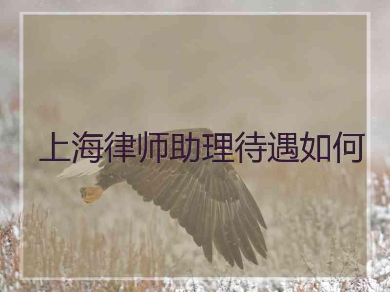 上海律师助理待遇如何